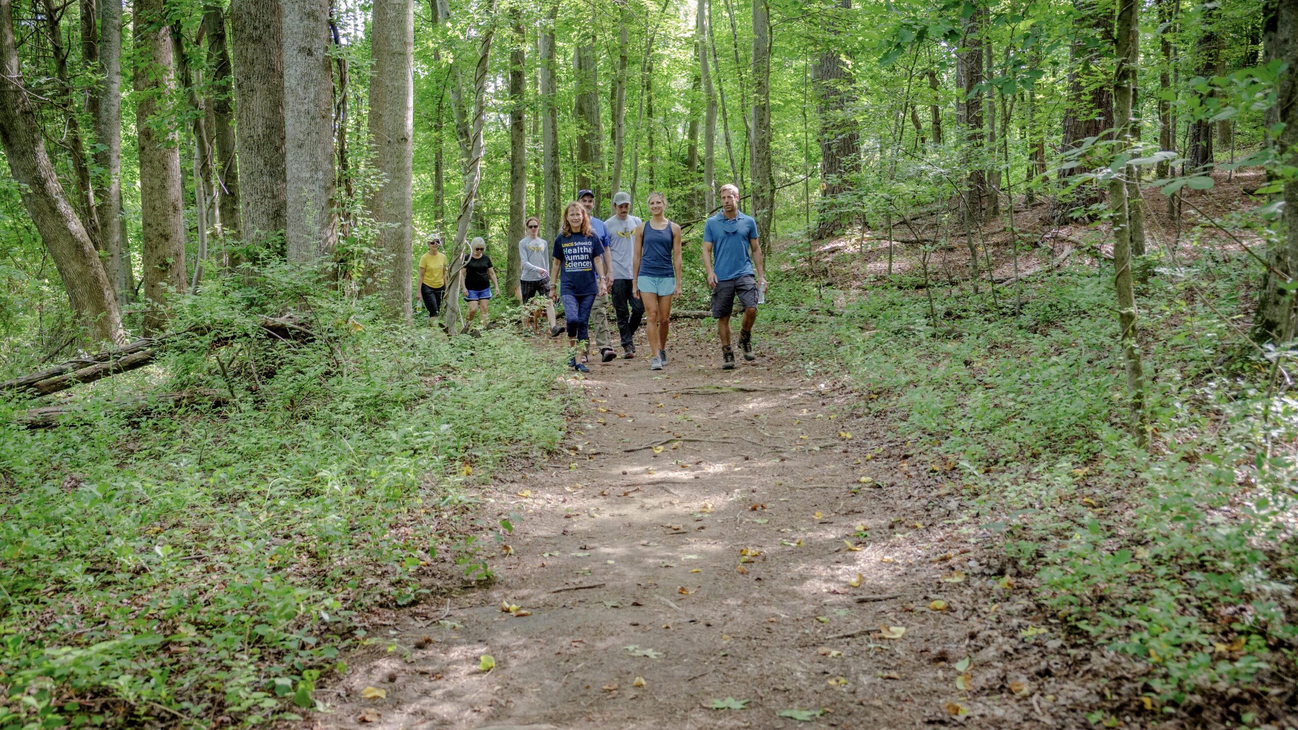 people walking through the woods
